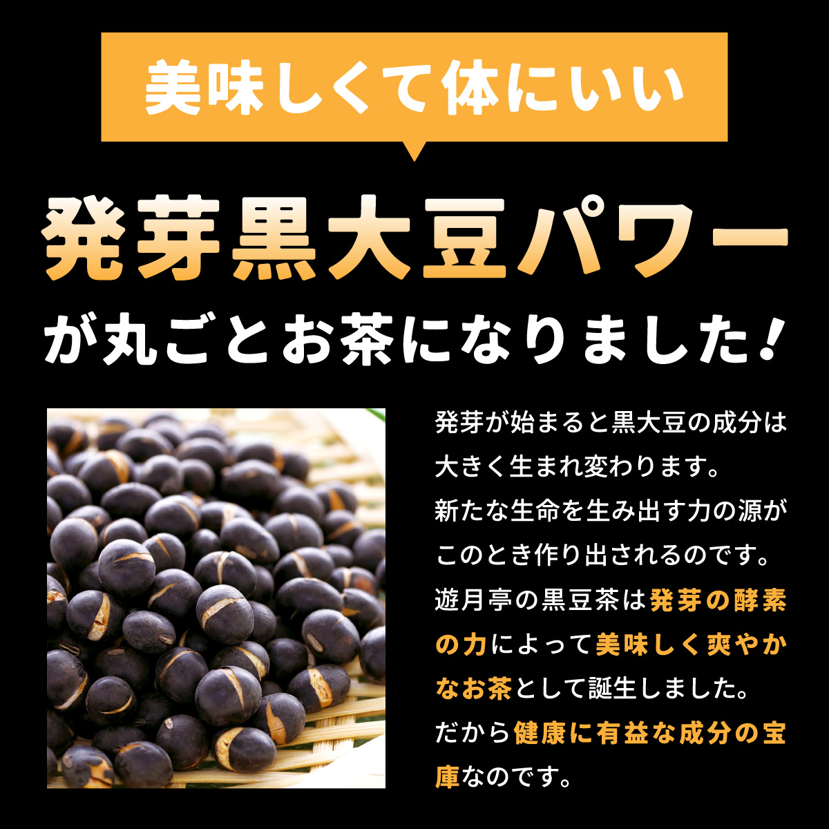 発芽黒豆パワーが丸ごとお茶になりました